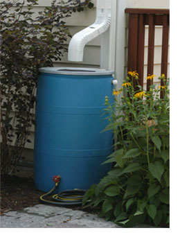make_rain_barrel_v31