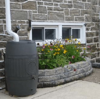 rainbarrel