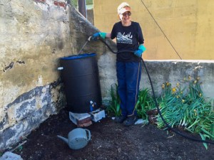 Darlene, Tree Street Garden