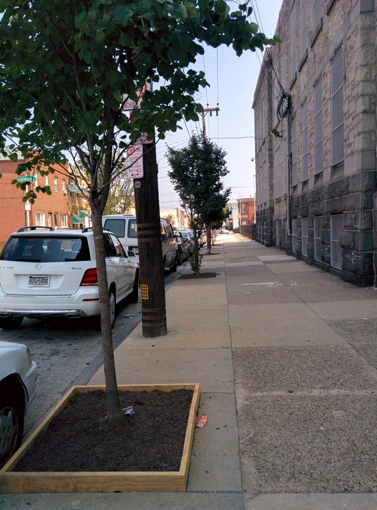 Trees in front of A.S. Jenks School