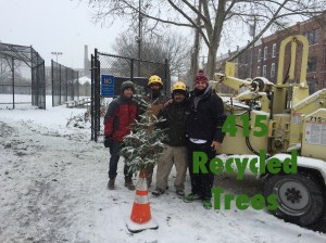 2017recycletrees