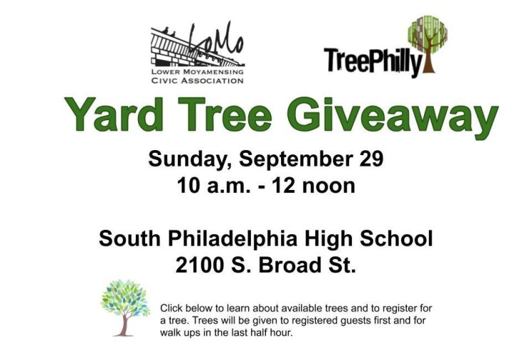 Flyer Yard Tree Giveaway Fall 2019